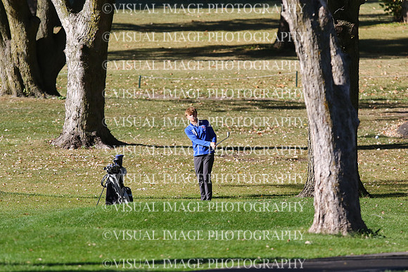 ILGF_24_T208008