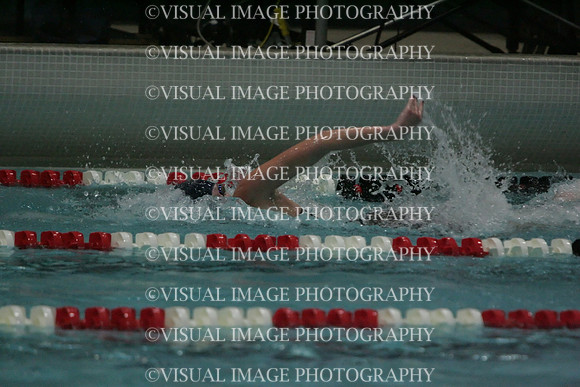 wiswg09_1free_1023