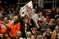 wibkg_09_q12009