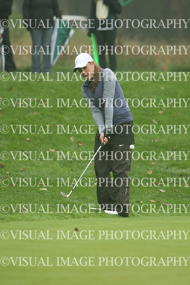 WIGFG_13_IND2060