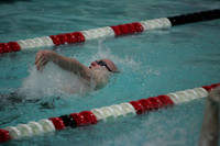 wisw09_2imed_1013