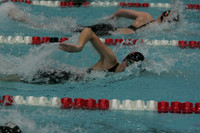 100 freestyle