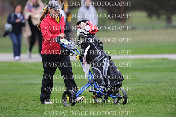 ILGFG_13_IND20028