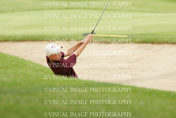 wigf_09_t108034