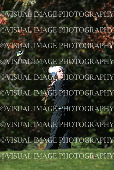 WIGFG_24_F10040