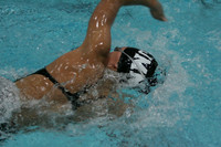 wiswg09_1free_1016