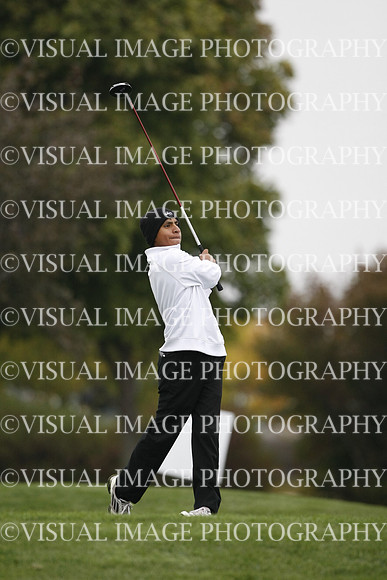 ILGF_13_T306027
