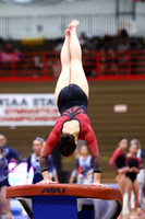 WIGYMG25_VAULT_T007