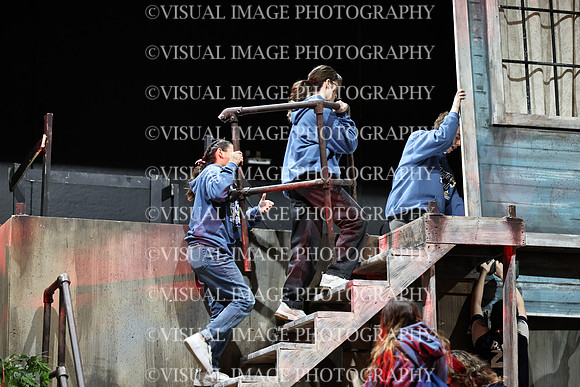 ILDRAMA_22_D06016