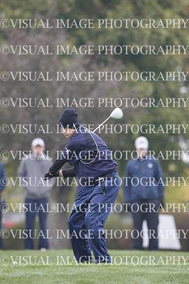 ILGF_13_T311011