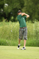 wigf_10_t32014