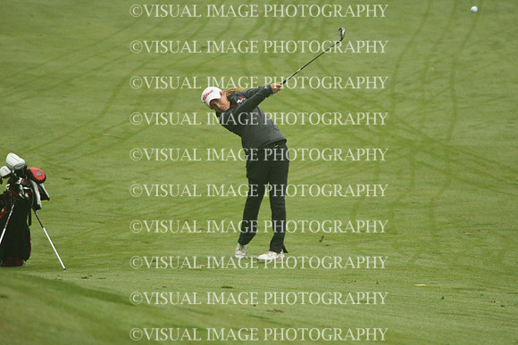 WIGFG_13_T106036