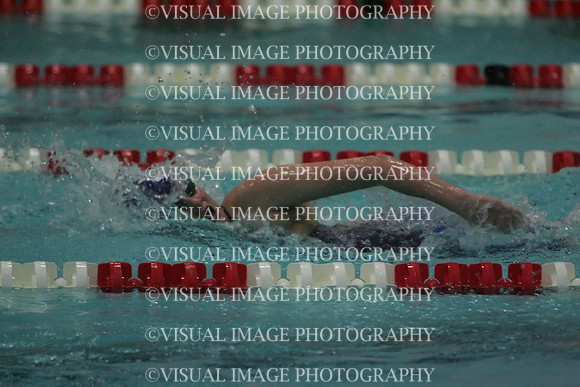 wiswg09_2free_2045
