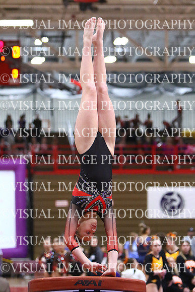 WIGYMG25_VAULT_T023