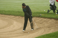 WIGFG_13_T201016