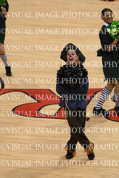 TDIHS12_POM_14019