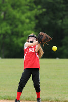 LMLL12_MUSTANG_G1012