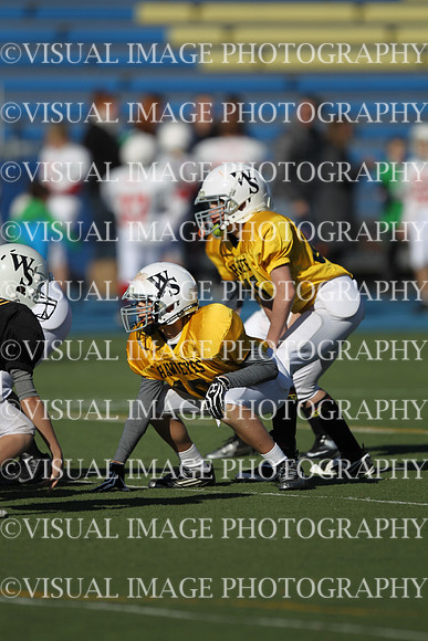 WSJFB_13_1007