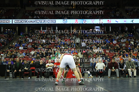 WIIWR25_285_21031