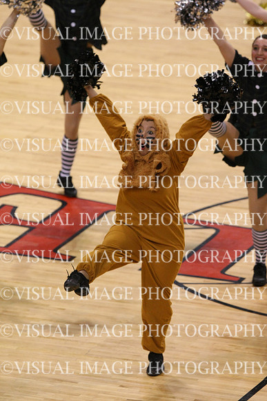 TDIHS12_POM_14031