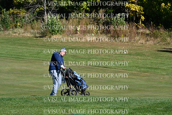 ILGF_24_T102013