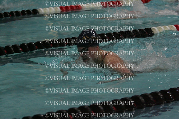 wiswg09_1breast_1020
