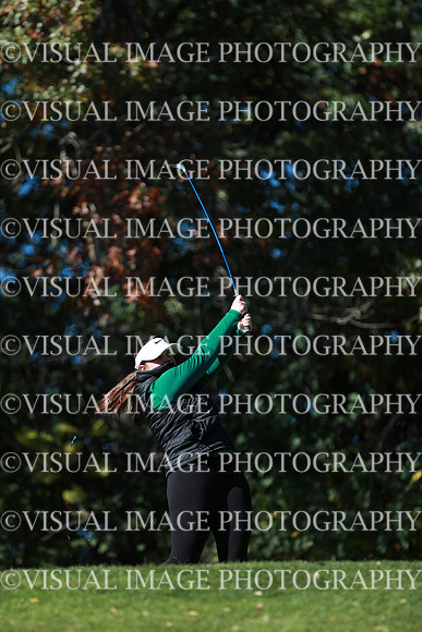WIGFG_24_F20037