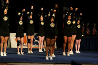 ILCHEER_11_M18020