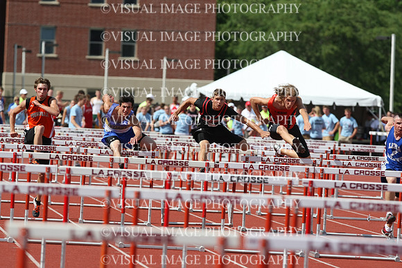 witk10_110h_p3005