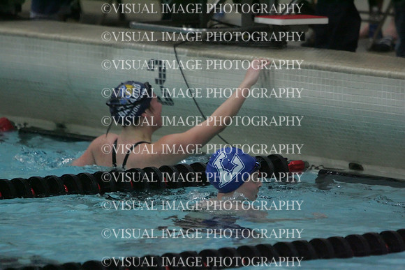 wiswg09_1free_2011