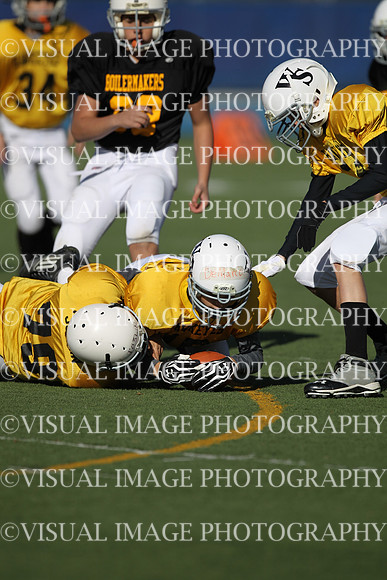 WSJFB_13_1031