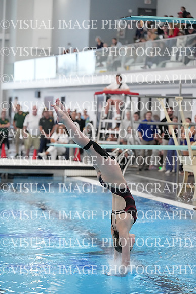 ILSWG24_DIVE_F0039