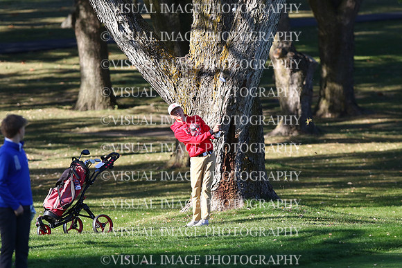 ILGF_24_T206014