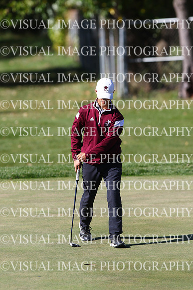 ILGF_24_T201017