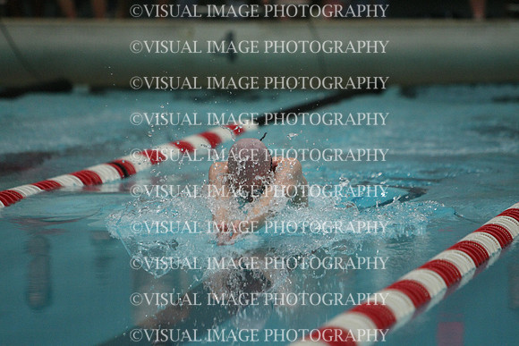 wisw10_1breast_2002