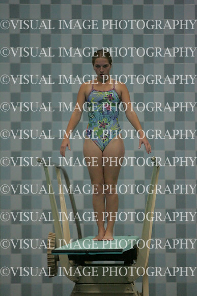 wiswg09_dive_2029
