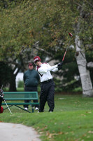 ILGF_13_IND2008