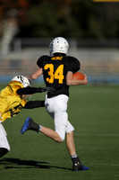 WSJFB_13_1013