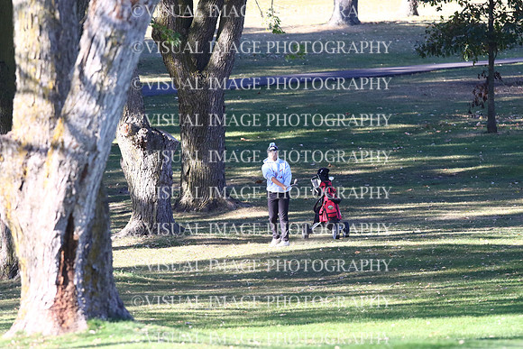 ILGF_24_T212013