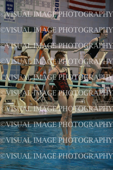 ILSWG13_DIVE_041
