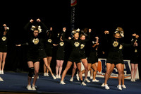 ILCHEER_11_M18008