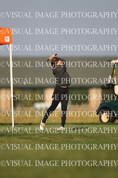 ILGFG_13_T112008