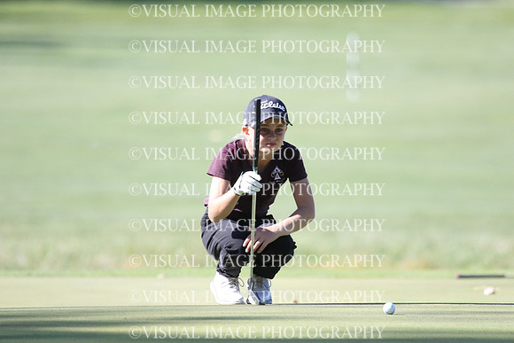ILGFG_24_T105025