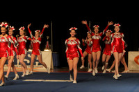 ILCHEER_15_M04005