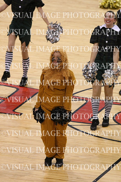 TDIHS12_POM_14033