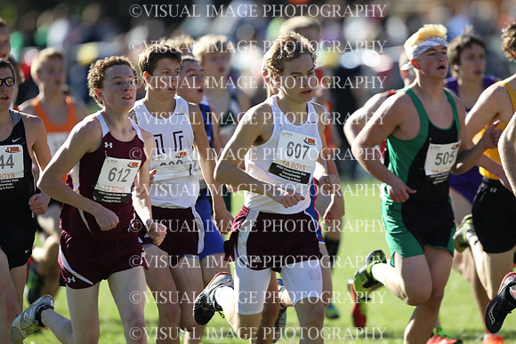 ILXC_13_10019