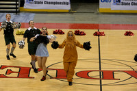 TDIHS12_POM_14004