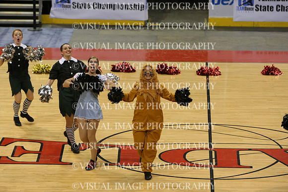 TDIHS12_POM_14004