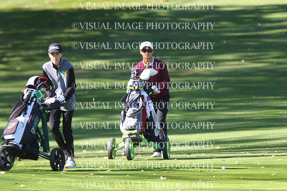 ILGF_24_T201029