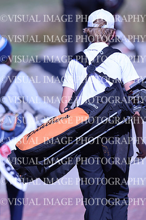 ILGF_24_T3110030